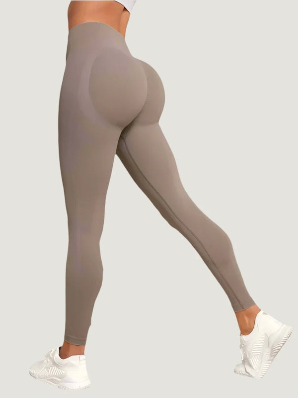 S91b1e84da63e4ed183346c886254414aE